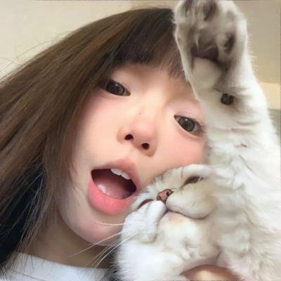 高地战